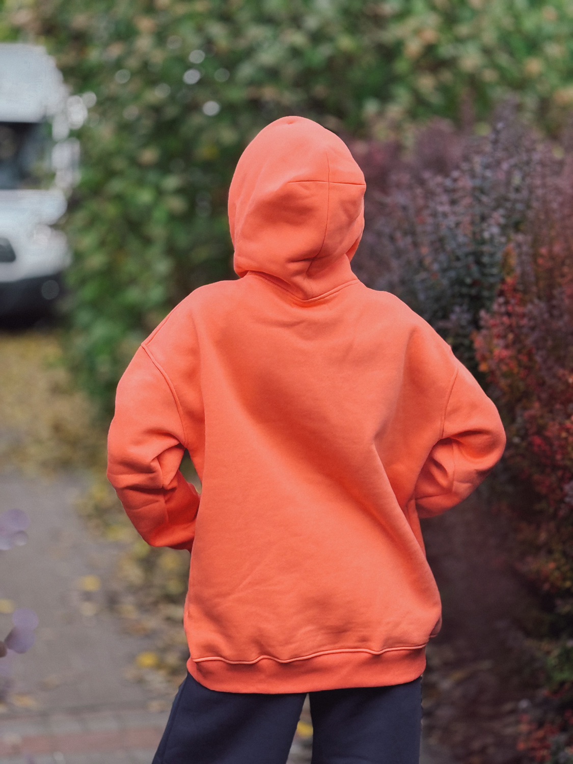 Коралова мрія